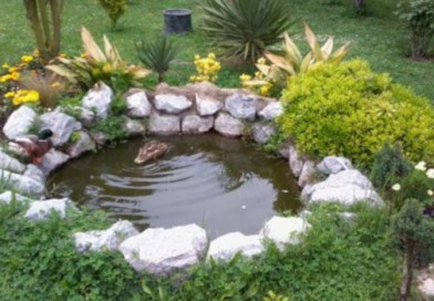 Süs Havuzu : Hobi Bahçelerinin Vazgeçilmezi…